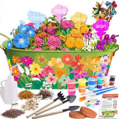 China Modern Arts Mini Garden Flower Planting Growing Diy Painting Kit For Kids for sale