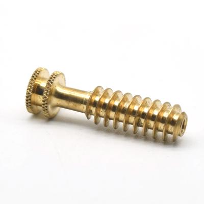 China High Precision Aluminum Brass Threaded CNC Parts Turn Double Head Sharp Thread Screw Screw Brass CNC Machining Parts for sale