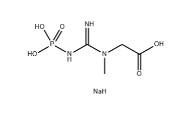 China CAS 922-32-7 Creatine Phosphate Disodium Salt White Crystalline Power for sale