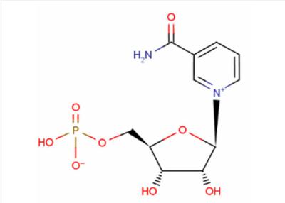 Chine Bêta NMN mononucléotide MW 334,22 de nicotinamide de CAS 1094-61-7 anti-vieillissement à vendre