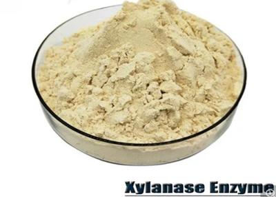 China 99% CAS 37278-89-0 Xylanase Enzymes Additive In Poultry Feed for sale