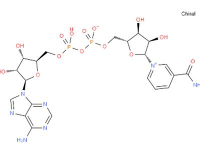 Chine Sel disodique Cas 606-68-8 de M.W 709,405 nadh à vendre