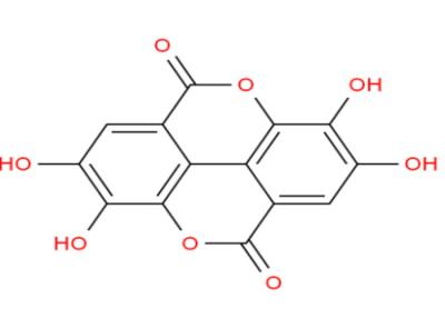 Chine CAS 476-66-4 extraits naturels acides ellagiques d'usine à vendre