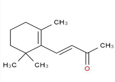 Chine C13H20O Beta Lonone Cas 79-77-6 extraits naturels d'usine en parfumerie à vendre