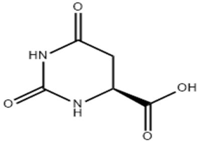 Chine Cas 5988-19-2 L aromatisant rafraîchissant acide Nucleoside And Nucleotide de Dihydroorotic à vendre