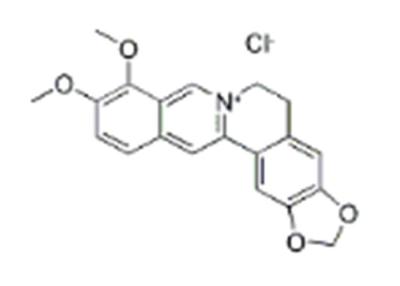 China Cas 633-65-8 Berberine Hydrochloride Anti Arrhythmic Berberine HCL for sale