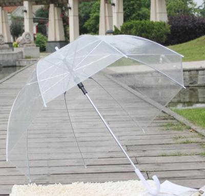 China Gossip Girl traditional clear cute deep wind resistance transparent bubble mushroom umbrella wedding decoration for sale