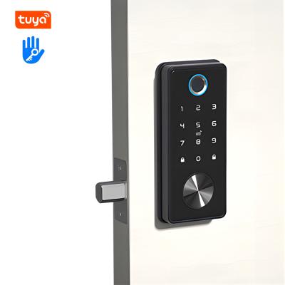 China lock manufacturers tuya access control automatic lock deadbolt mortise exterior door lock for sale