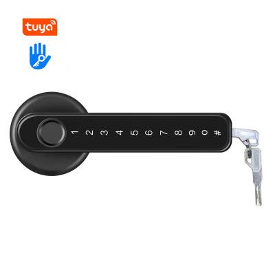 China mobile app keyless entry biometric fingerprint smart door lock home handle intelligent door lock for sale