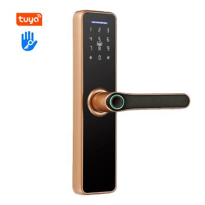 China high end wifi tuya ic card standard door electronic smart door lock with handle for sale