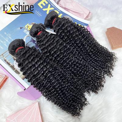 China Silky Straight Wave Cuticle Aligned Raw Brazilian Hair Vendors, Cheap Curly Wet And Wavy Indian Virgin Hair Bundles, Indian Hair Extension for sale