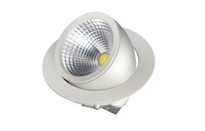 Китай Профессиональное 110volt 30W SMD утопило СИД Downlights для афиш/хайвея продается