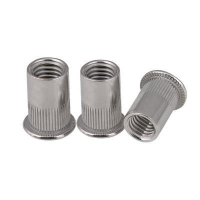 China Flat Head Vertical Rivet Nut 304 Stainless Steel Rivet Fastener Nut Fastener Service Included for sale