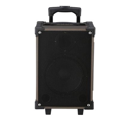 中国 Portable Wireless Bluetooth Trolley Speaker 50W Output Power Booming Bass 販売のため