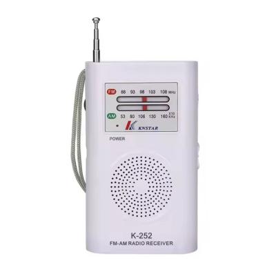 China FM/MW/SW 3 Band Am Radio with USB/TF Slot and Requirements en venta