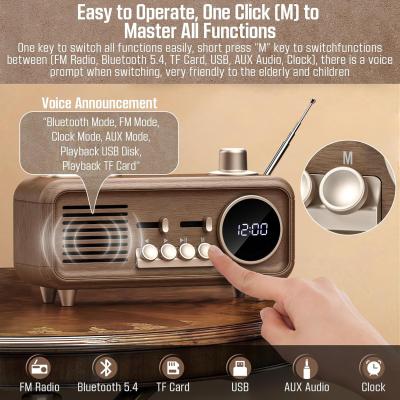 China AM / FM Portable Radio Player with USB/TF Slot and FM/MW/SW 3 Band for sale