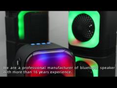 RGB Portable Bluetooth Speaker with cheap price