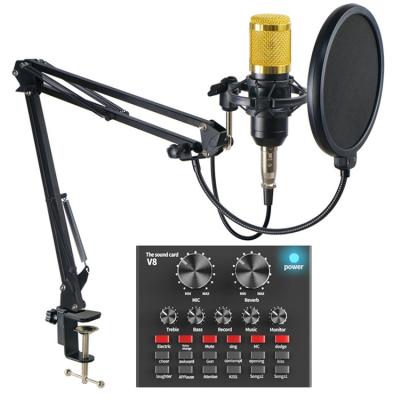 China Discount Price High Quality Omnidirectional Indoor Live Recording V8 Wireless Microphone for sale