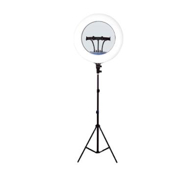 China Hot selling PORTABLE 16 inch led circle ring light send small tripod for sale