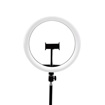 China PORTABLE PORTABLE RGB Mini LED 26cm Selfie Ring Light Tricolor Mobile Phone Stand with Tripod for sale