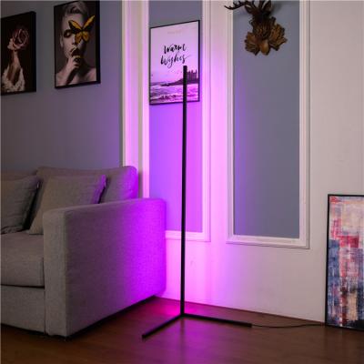 China New Arrival Modern Decoration LED RGB Colorful Standing Floor Corner Lamp for sale