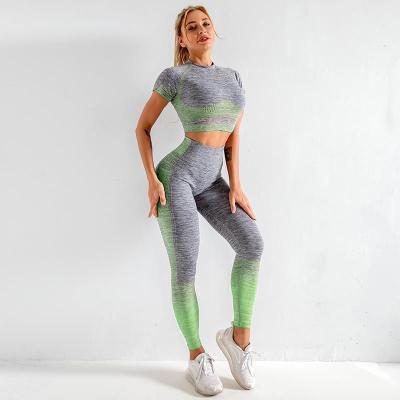 China Breathable Seamless Knitted Two-Piece Yoga Clothing Sets Fitness Sports Yoga Short Sleeve Elastic Clothing for sale