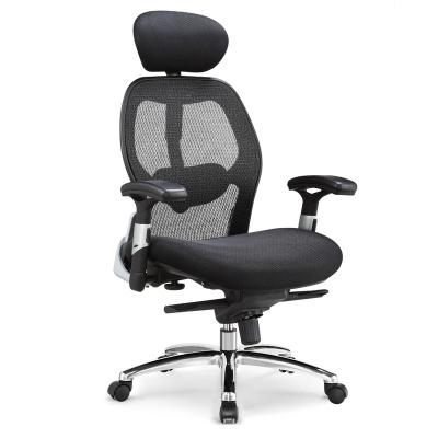 China (Height) 130 Kg Capacity Success 2019 Adjustable Ergonomic Office Chair In Aluminum Foot for sale