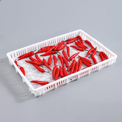 China Good Food Pure Air Circulation HDPE Vented Stackable Plastic Chilli Drying Tray / Crate for sale