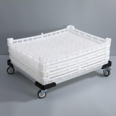 China Mesh Wide Temperature Resistance Stackable Tea/Pan/Dish/Paddle/Plastic Foods Drying Tray For Dehydration for sale