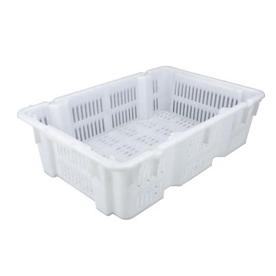 China China Factory Price Multi Pourpose Mesh Storage Plastic Crate For Fish/Fruit/Vegetable Stackable Mesh for sale