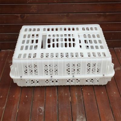 China Farms Poultry Farm Turkey Duck Goose Live Chicken Crates Box 755*555*280mm For Chicken Transport for sale