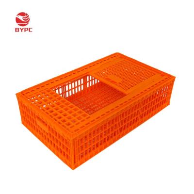 China Farms 960*570*270 mm Poultry Farm Chicken Cages Poultry Transport Crate For Sale Middle East for sale