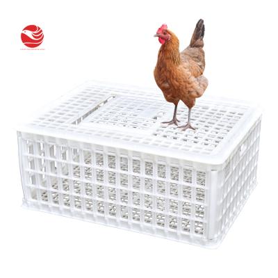 China Plastic Farms 750*550*320mm Rabbit Poultry Crate Broiler Chicken Cage Transport Shift Crate for sale