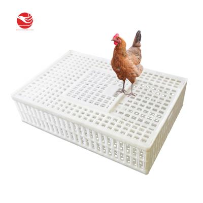 China Farms Live Poultry Crate Modern New Type Chicken Broiler Cage For Transporting for sale