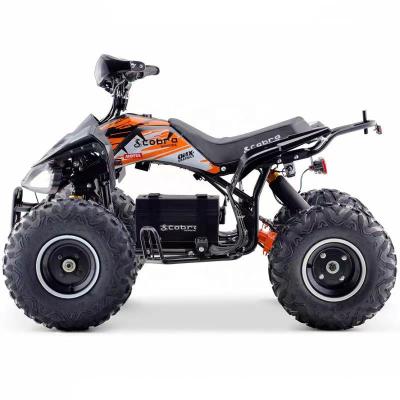 China Hot Selling High Quality Electric Start ATV 4 Steel Wheels Quad ATVs Electric Four Wheeler Auto Mini Atv 4x4 for sale