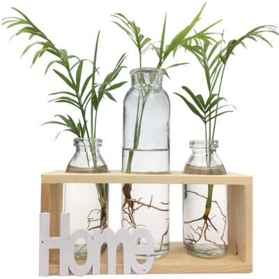 China China Glass Vase Planter Holder for Home and Office Decoration for sale