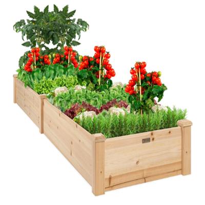 China Eco - Friendly Large Size Wooden Vegetable Planting Table Rectangular Wooden Plant Planting Frame for sale