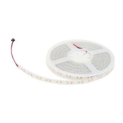 China Residential High Quality DC 12V Low Voltage LED Strip Water Proof SMD 2835 LED Lighting Flexible Strip RGB LED Strip Light For Mirror for sale