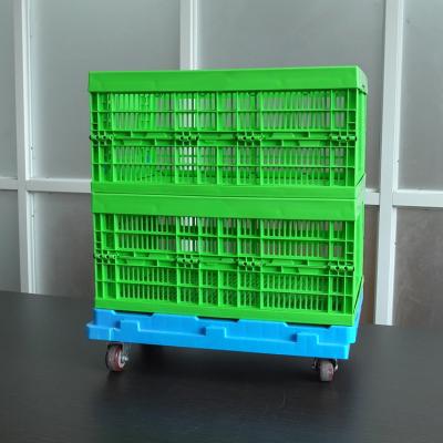 China Plastic Exhaled Collapsible Folding Storage Basket Crate Holder Snack Fruit Boxes Folding Plastic Storage Box for sale