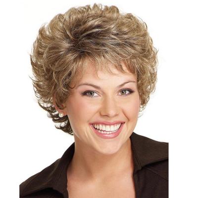 China Short Hair Short Curly Hair Women Wigs Synthetic Brown Natural Heat Resistant Fiber Daily Use Wig for sale