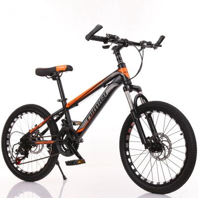 China China factory steel adult mountain bike 24