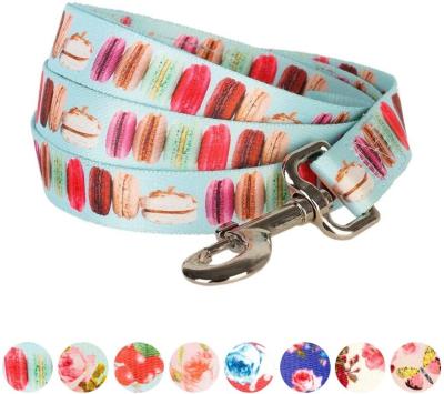 China 2021 New Design Mechanical Pet Macaron Cake Wash With Spring Tones Pastel Dog Leash for sale