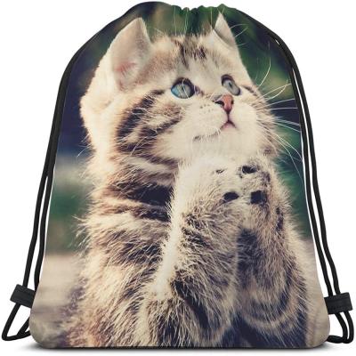 China Waterproof Cute Pet Drawstring Backpack With Funny Pug Face Eyes Fashion Design for sale