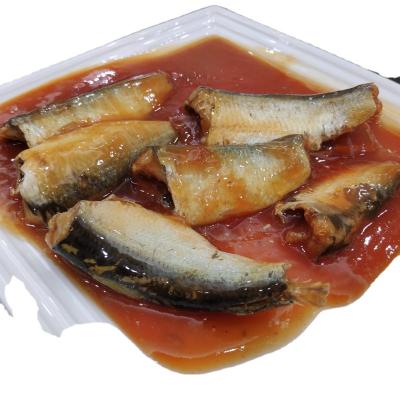 China Canned sardine canned fish in tomato sauce with chili 155g 425g for sale