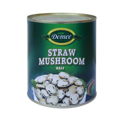 China Whole Canned Canned/Half Straw Mushroom In Brine for sale