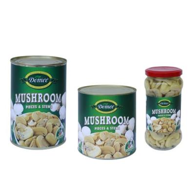 China P&S Fresh Canned Mushroom / Champigon Slice Mushroom in Brine for sale