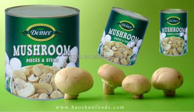 China Canned button mushroom canned P AND S mushroom canned vegetable brand of DOMEE for sale