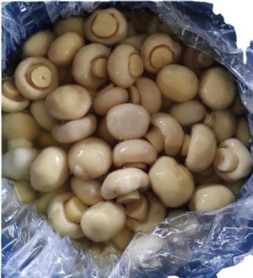 China Fresh WHOLE mushroom in chemical in drum canned vegetable for sale