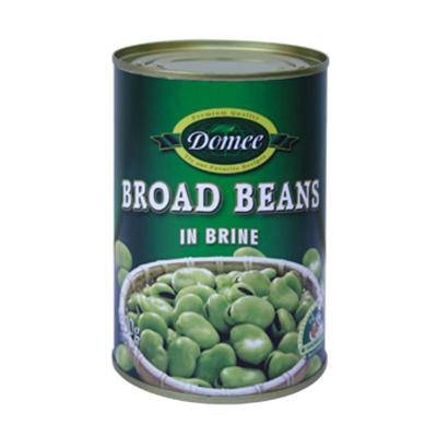 China Fresh canned beans in brine delicious canned vegetable for sale