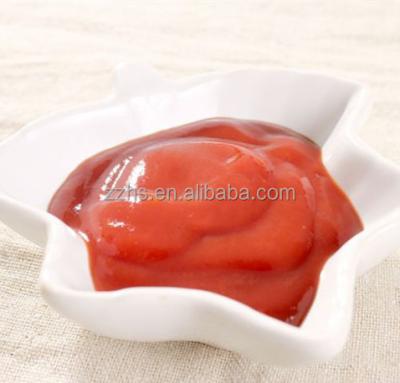 China Caned tomato ketchup in the plastic bottle 325g for sale